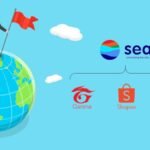 Browser Marktanteile: Wer Dominiert Wirklich das Netz?