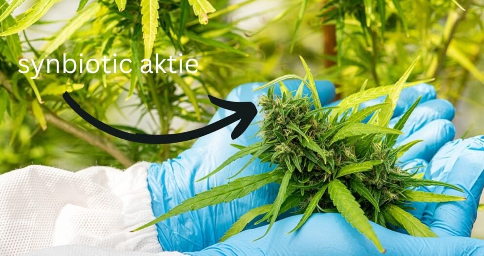 synbiotic aktie