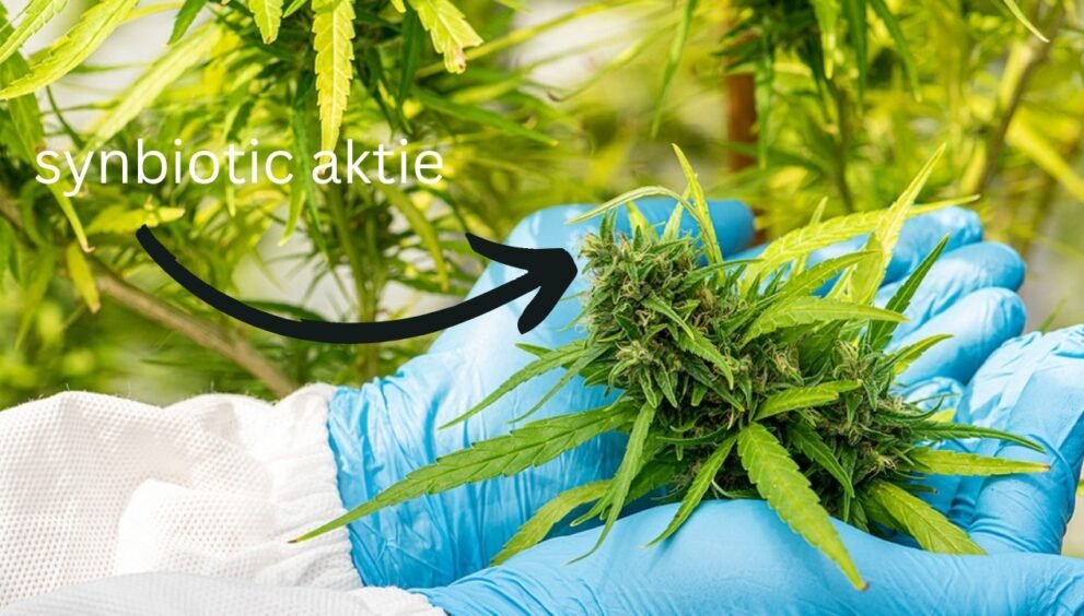 synbiotic aktie