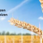 So legst du monatlich Geld an und baust Vermögen auf