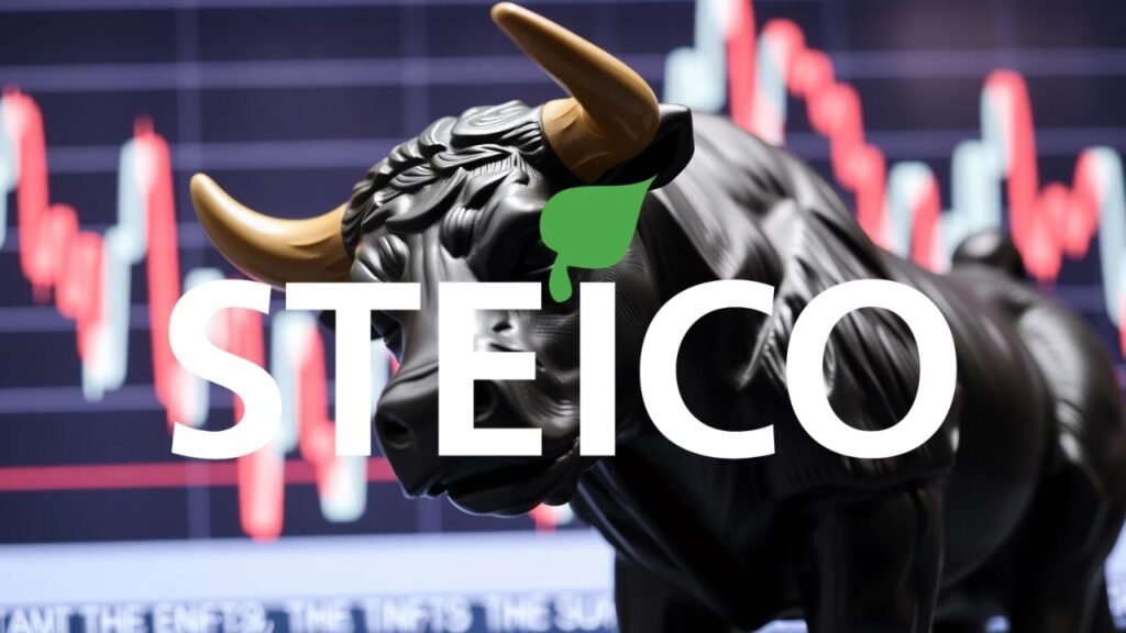 steico aktie