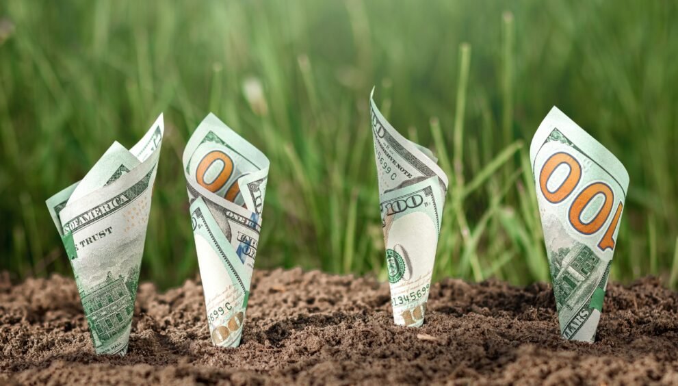 geld verdienen online sofort auszahlung